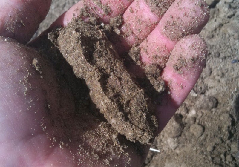 Determining Moisture Content of Soil by 'Hand Test' Engineersdaily